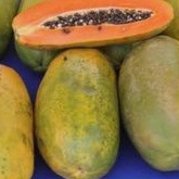 

Pepaya California