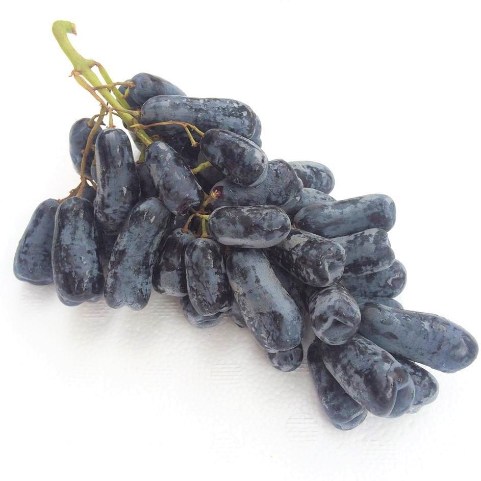 

BUAH ANGGUR HITAM SWEET SAPPHIRE MOONDROP GRAPE 1KG [RUMAH BUAH]