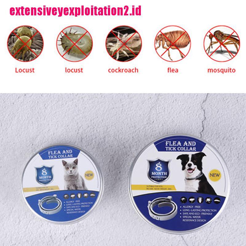 1 Pc Kalung Collar Anti Kutu Adjustable Untuk Anjing Peliharaan 8 Bulan