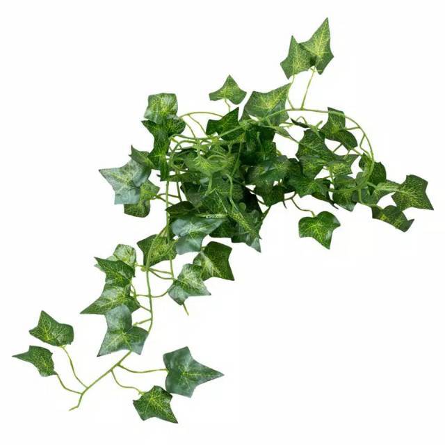 Daun rambat artificial / daun rambat palsu / daun rambat ivy