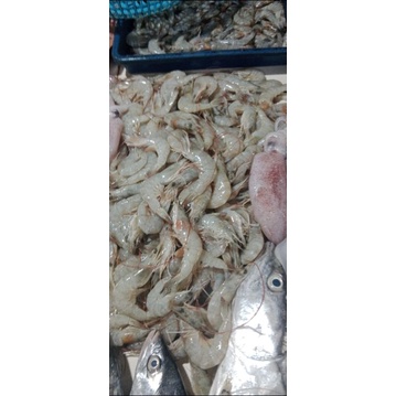 

udang bakwan fresh 250gr
