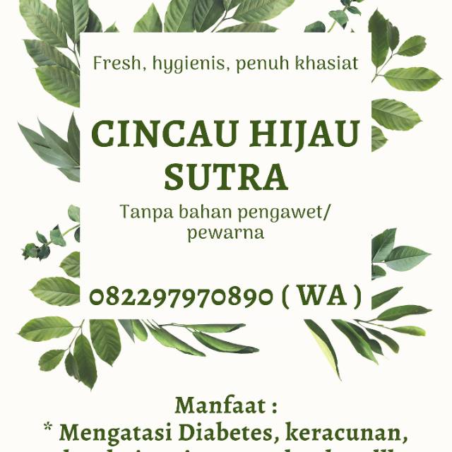 

Cincau Hijau