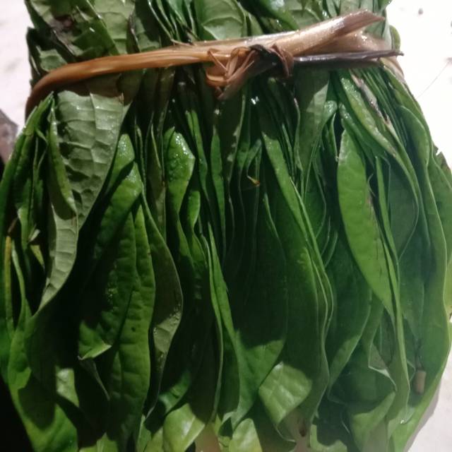 

Daun Sirih /Belo medan 1ikat/pedi 1/2 kg