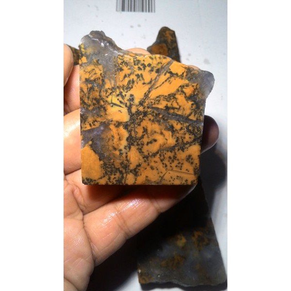 Jasper Dendritic Agate / Agate Kristal NTT Rough Termurah