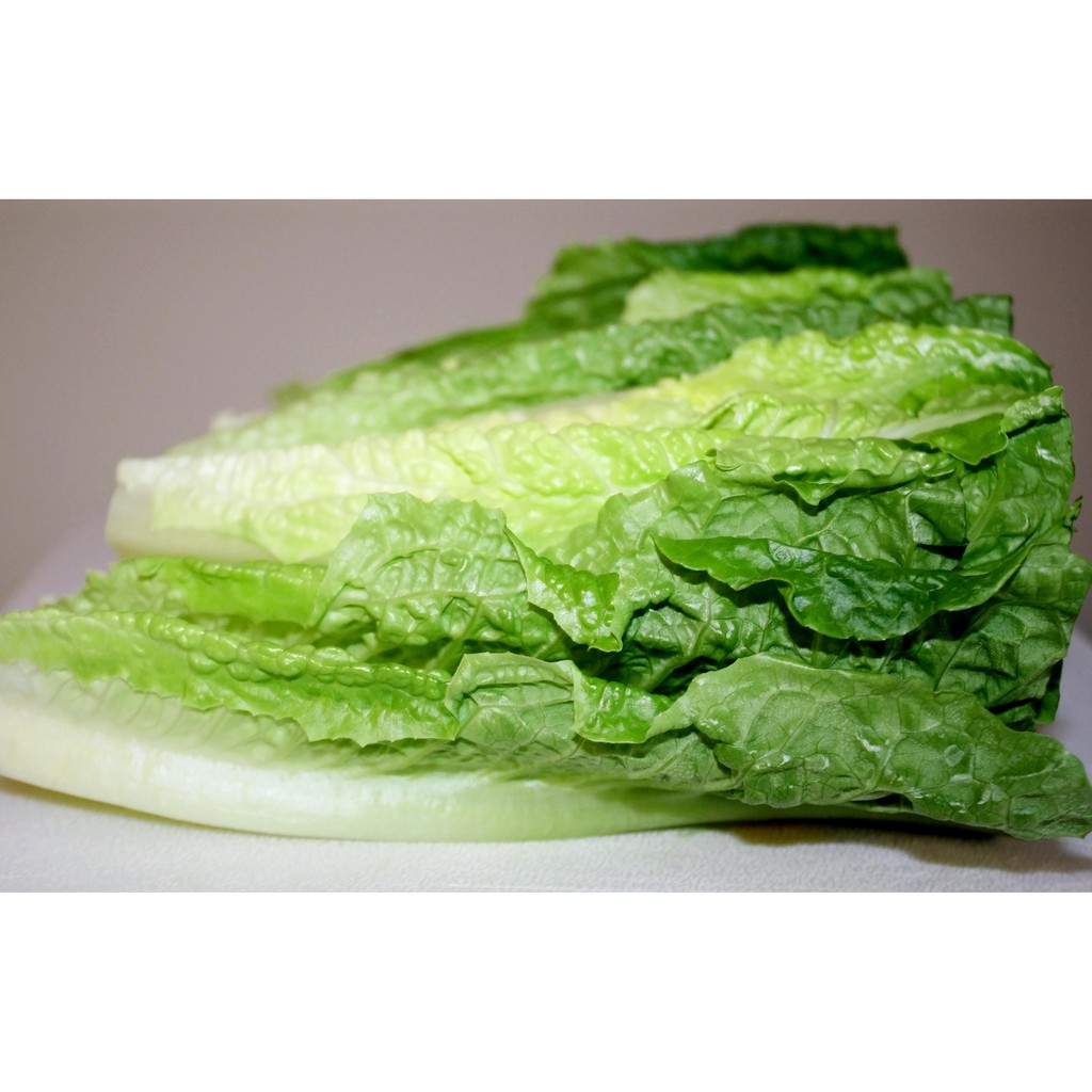 

Romaine Lettuce organik - 500gr