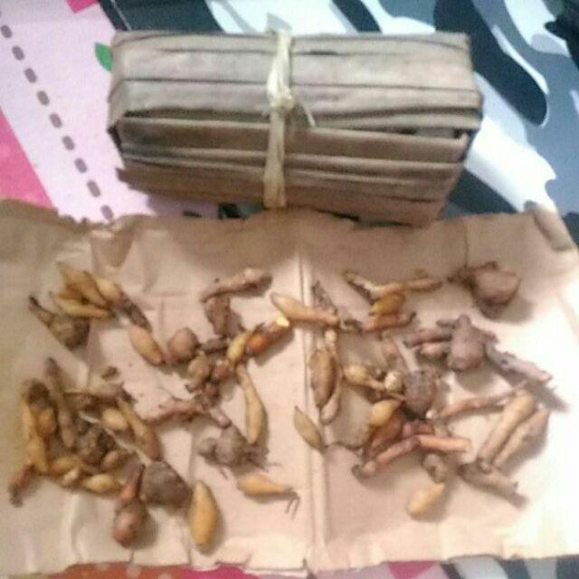 Temu Kunci Segar Basah