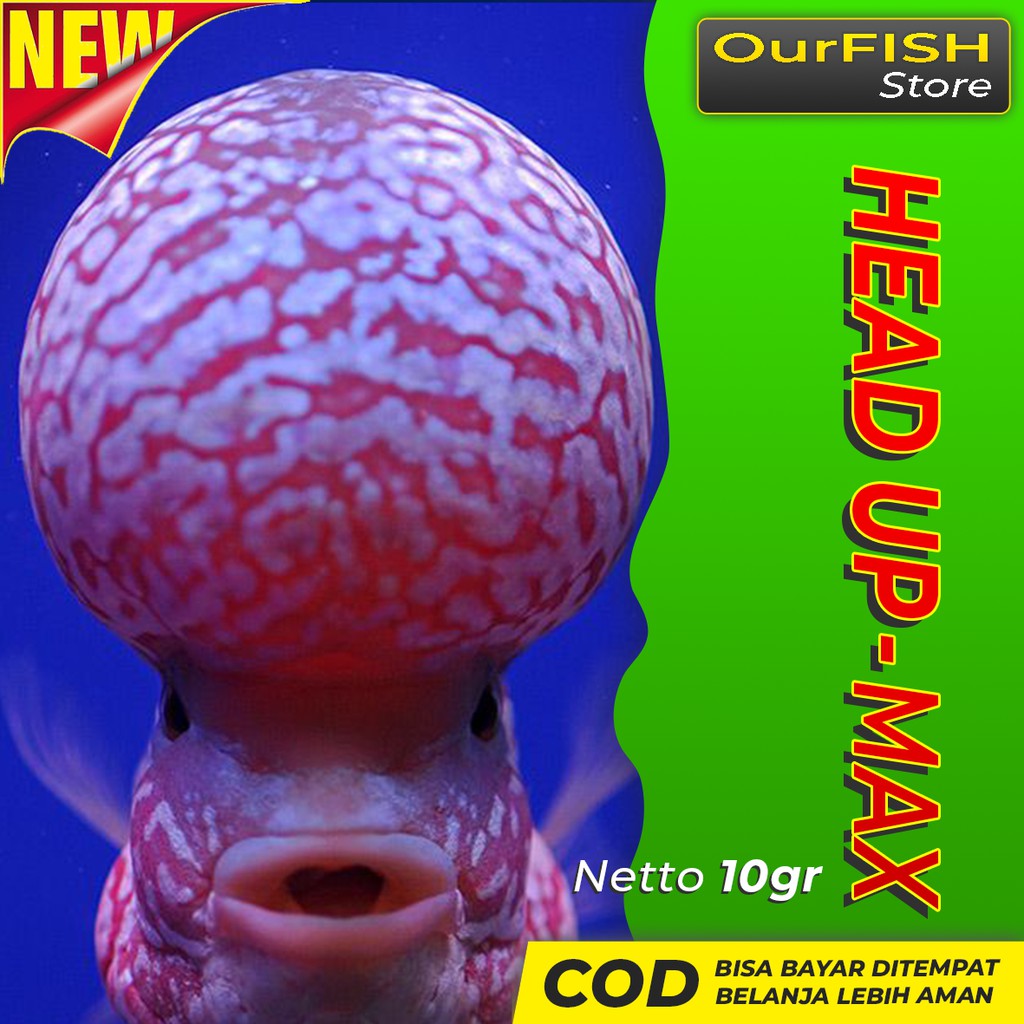 OURFISH - Serbuk Memperbesar Jenong Louhan Vitamin Ikan Kamfa Srd Cencu Bonsai