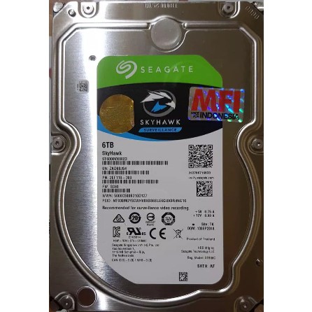 Hardisk Seagate Skyhawk 6TB 3.5 inch khusus CCTV