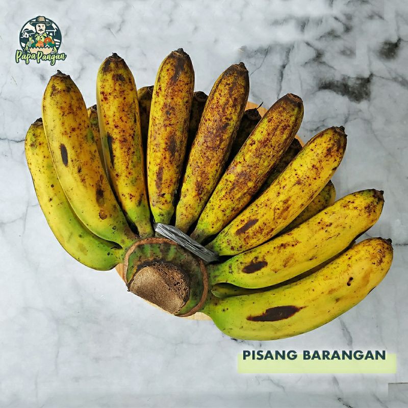 

Pisang Barangan Papapangan - 1 sisir