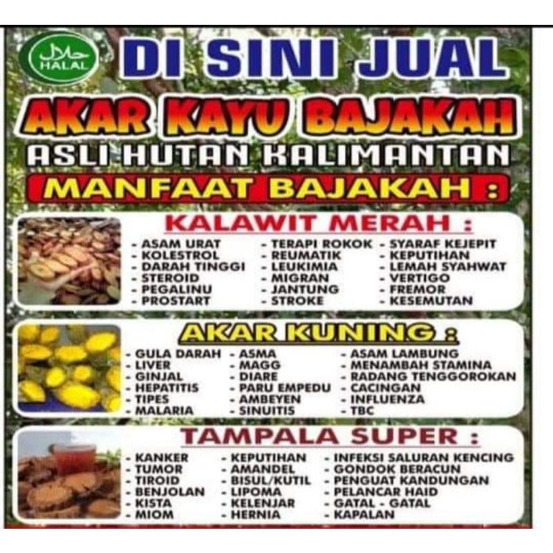 

Akar Bajakah Tampala