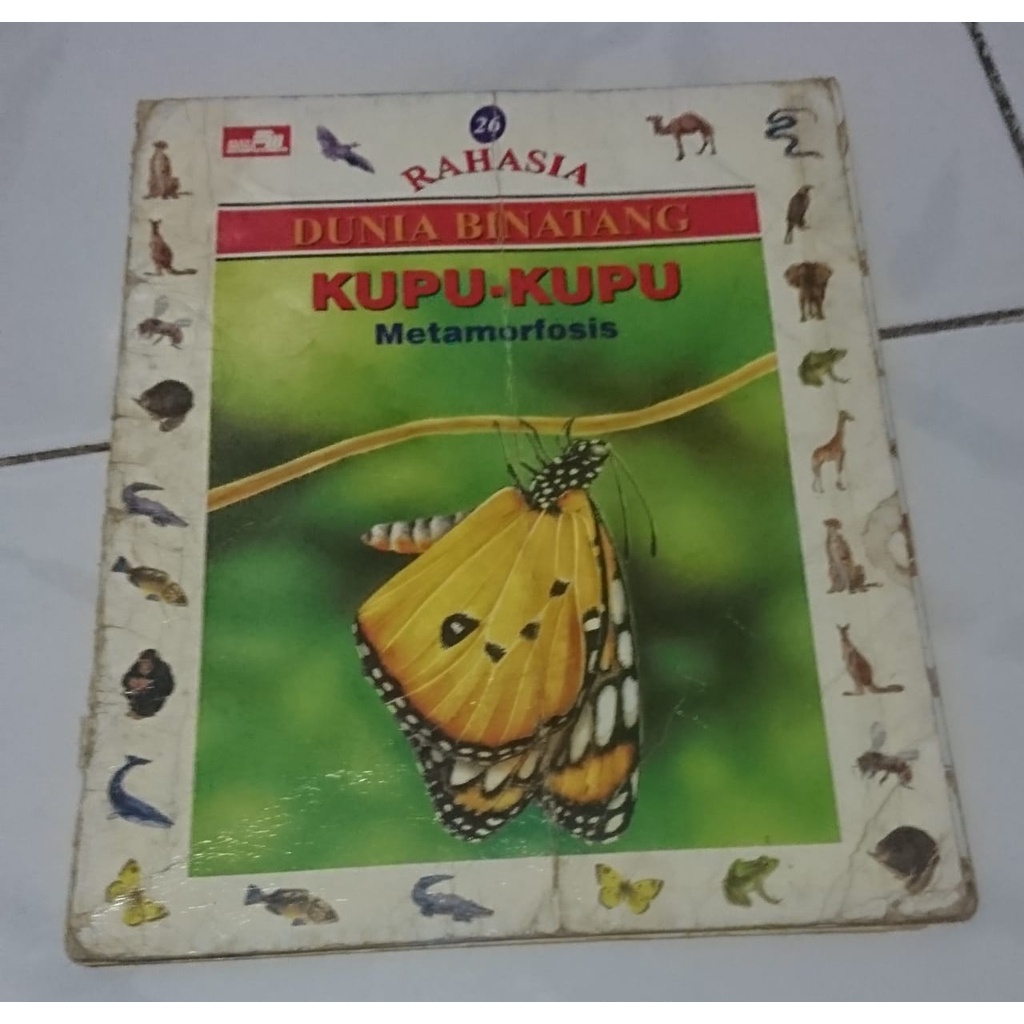 Rahasia Dunia Binatang - Kupu Kupu Metamorfosis