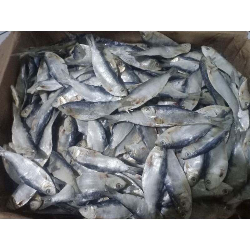 

ikan asin tembang 1 kg