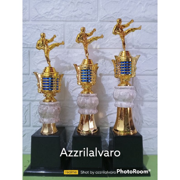 piala body 045 FG silat