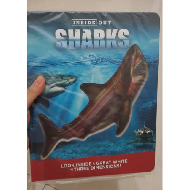 Inside out shark