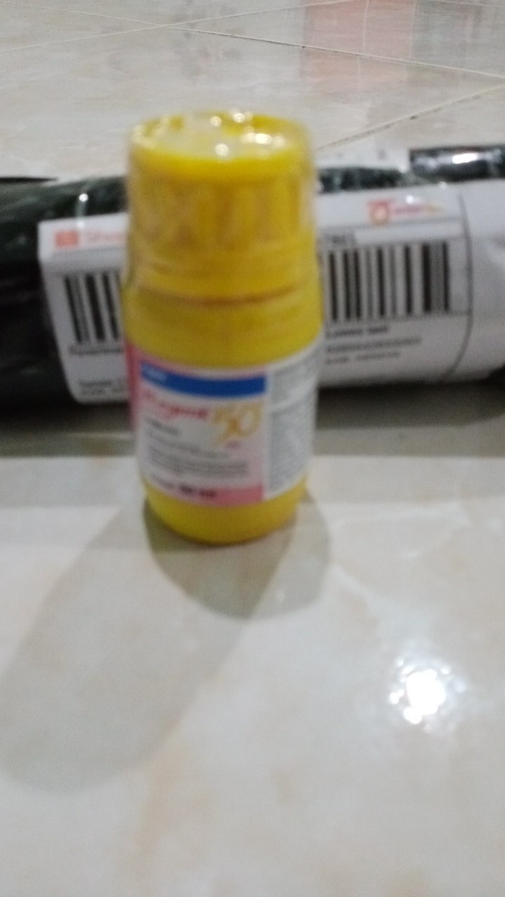Regent® 50 Sc Red 50ml Insektisida Perlakuan Benih