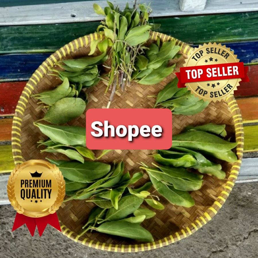 BENALU SUKUN KERING HIJAU 1000 GRAM (SUPER)