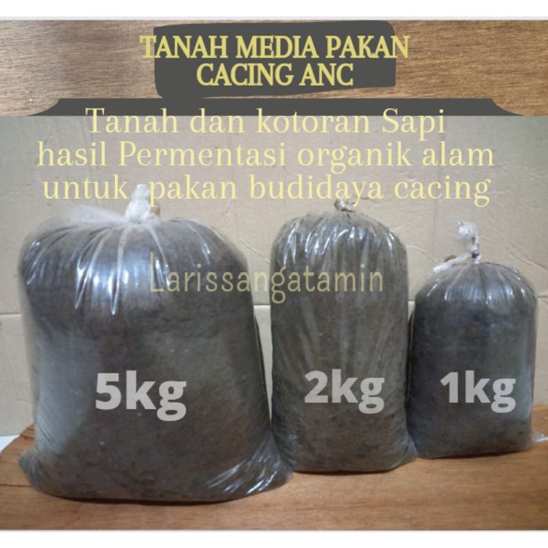 KOHE SAPI KOMPOS TANAH MEDIA PAKAN CACING TANAH LUMBRICUS, ANC, TIGER, PER UNTEL, KALUNG, SUSU, DLL