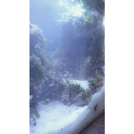 air terjun Aquascape