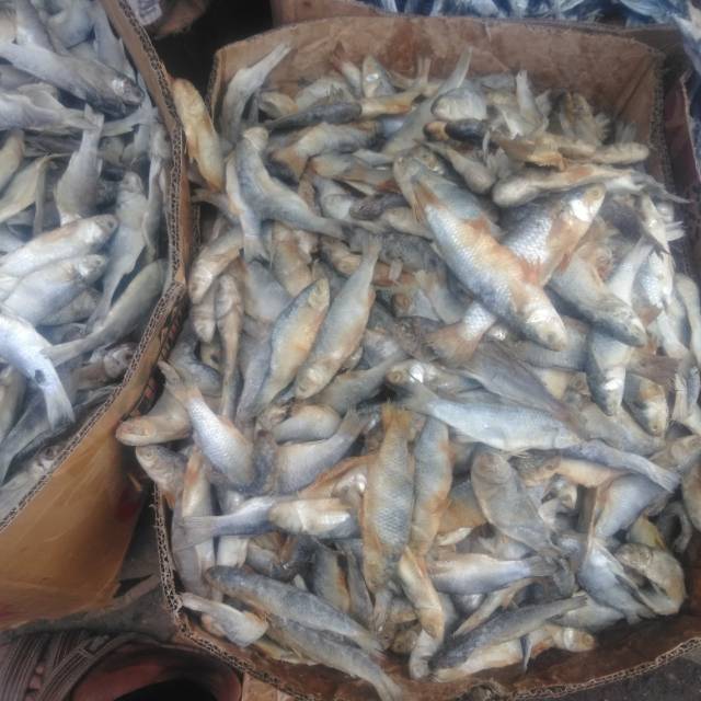 

Ikan asin kadra