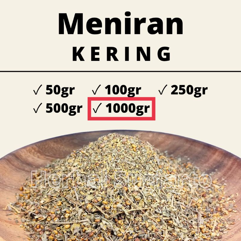 

GROSIR Meniran Kering 1kg 1000gr 500gr 250gr 100gr 50gr Kualitas BAGUS 1kg