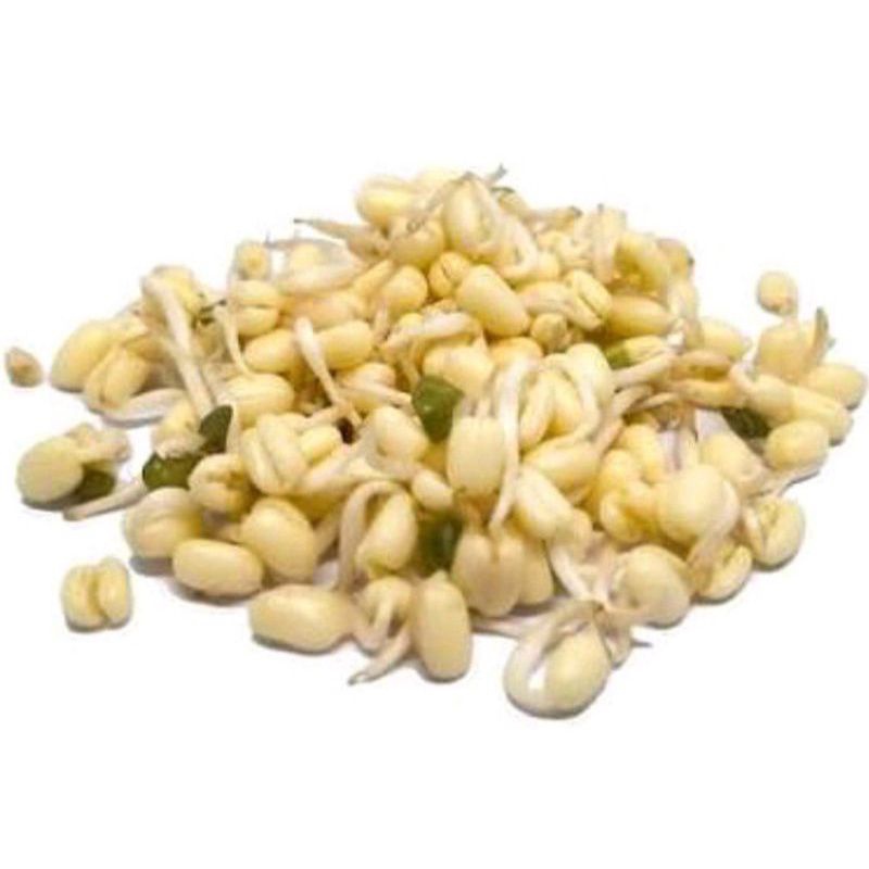 

Toge Soto Kecambah Pendek 100 gr - Gerobak Sayur Palembang