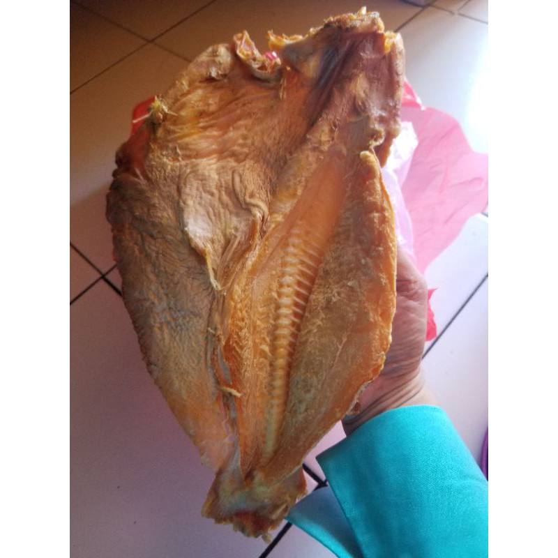 

1 kg Jambal Roti Super Quality, bahan segar dan bersih .