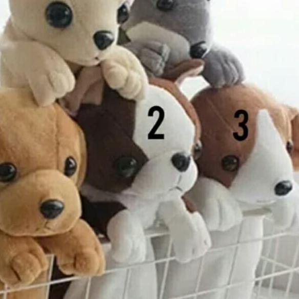 

✦ Kotak pensil boneka anjing lucu unik tempat alat tulis - nomor 5 ♡