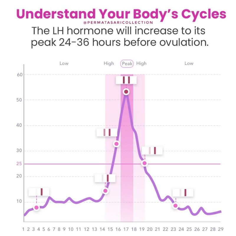 LH Ovulation Test Pack Strip Alat Tes Kesuburan Ovulasi HCG Ovutest Kehamilan Hamil Femometer