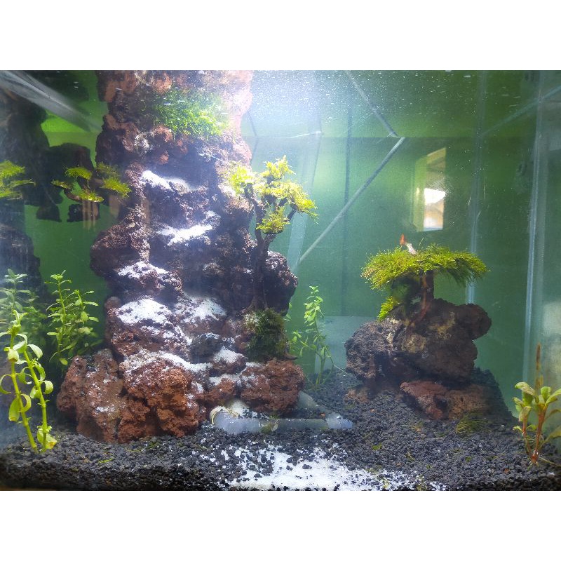 Waterfall Aquascape