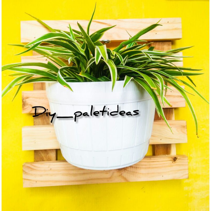 RAK POT TEMPEL DINDING // BAHAN KAYU JATI BELANDA