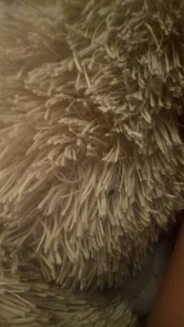 New Arrival Distro Batik Pria Bordir Sogan Hrb026 Batikaf Notoarto Batik Ipnu-ippnu Hem Pria Bel