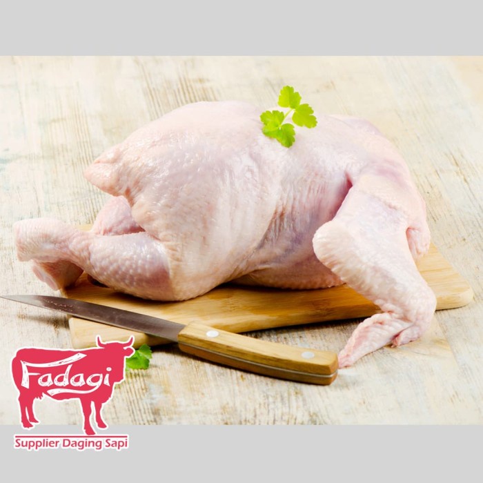 

AYAM UTUHAN AYAM KARKAS 1.0 FRESH SEGAR PREMIUM