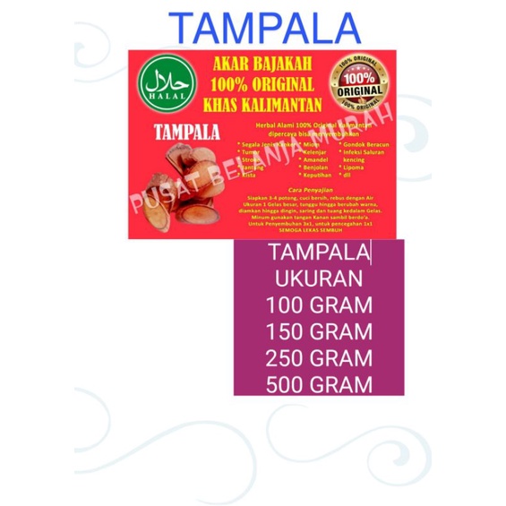 

[OBAT KANKER,TUMOR DLL] Akar Bajakah Tampala Kayu Akar Bajakah (100% ORIGINAL) Asli Kalimantan