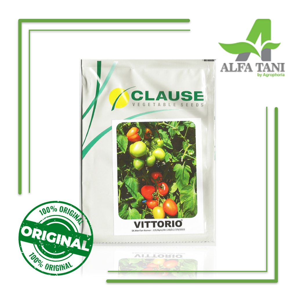 Benih Tomat Besar dan Kuat / Tomat Vittorio 5 gram / CLAUSE