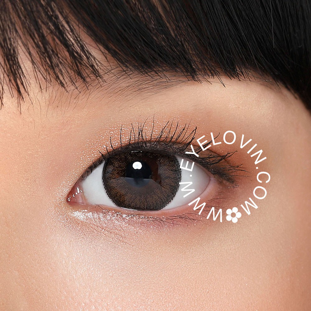 EYELOVIN Softlens Geo Medical - Fresh Brown (FC-724)