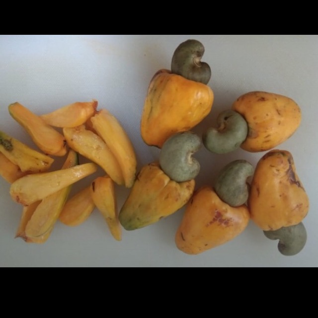 

Buah jambu mede per 1 kg
