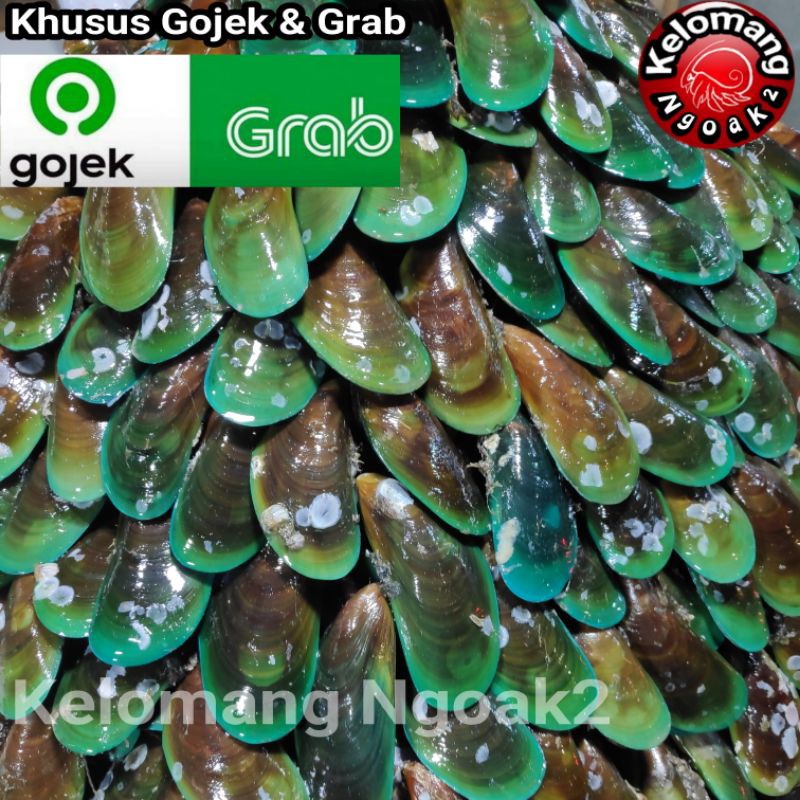 

Kerang Hijau 1kg