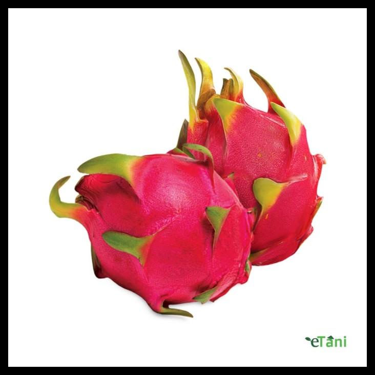 

Buah Naga Merah (Per 2 Pcs)