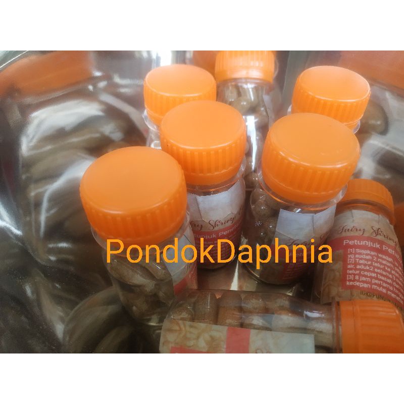Paket Telur Fairy Shrimp [25 capsules] Artemia Air Tawar