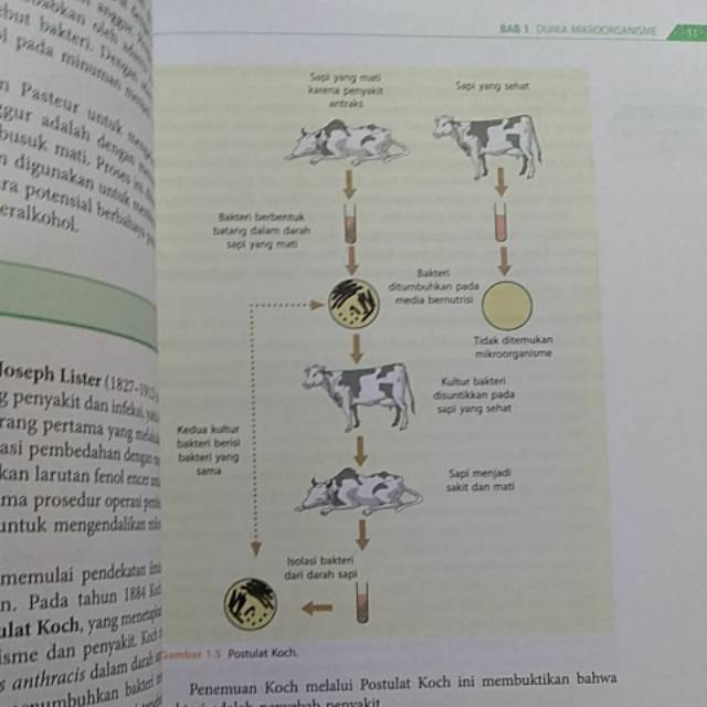 BUKU MIKROBIOLOGI FARMASI ORIGINAL