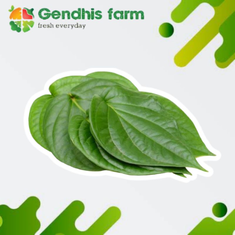

Daun sirih [20 Lembar]