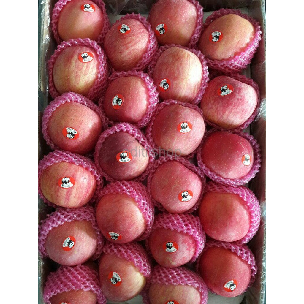 

Buah Apel Fuji Manis Garing Harga DIJAMIN MURAH DIBAWAH PASARAN