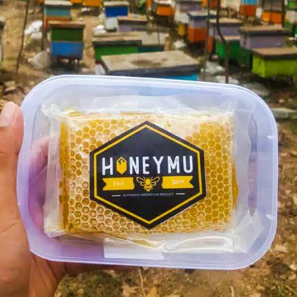 

H89 [250gr] Sarang Madu Asli Melifera/Cerana≛ (Terbaru)