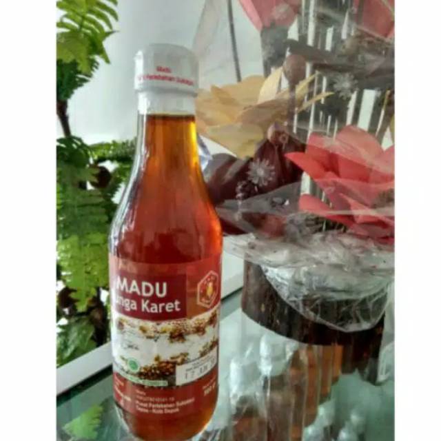 

Madu Bunga Karet Sukatani Madu Murni Madu Asli 500 gr