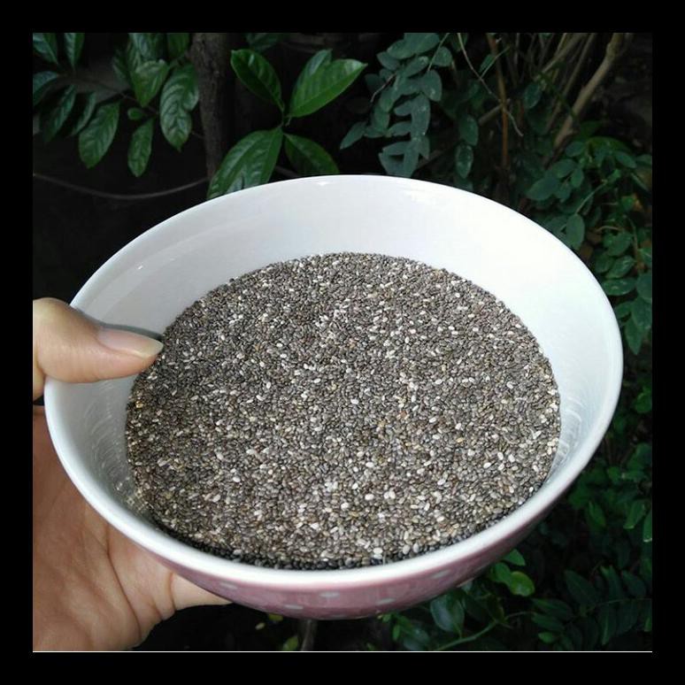 

READY! BPOM NEO OLIVA ORGANIC CHIA SEEDS MEXICO 1000GR TERMURAH