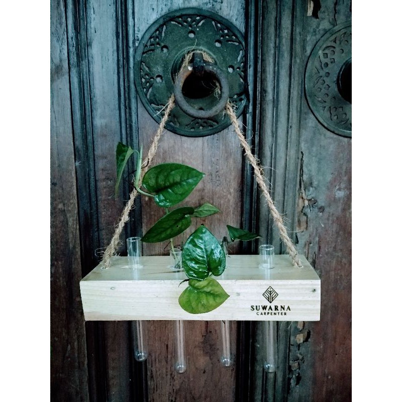 Pot Gantung Unik Kayu Jati Belanda plus Tabung Kaca Reaksi Kimia