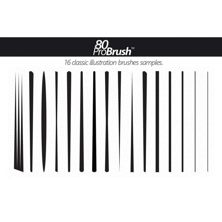 80 Probrush