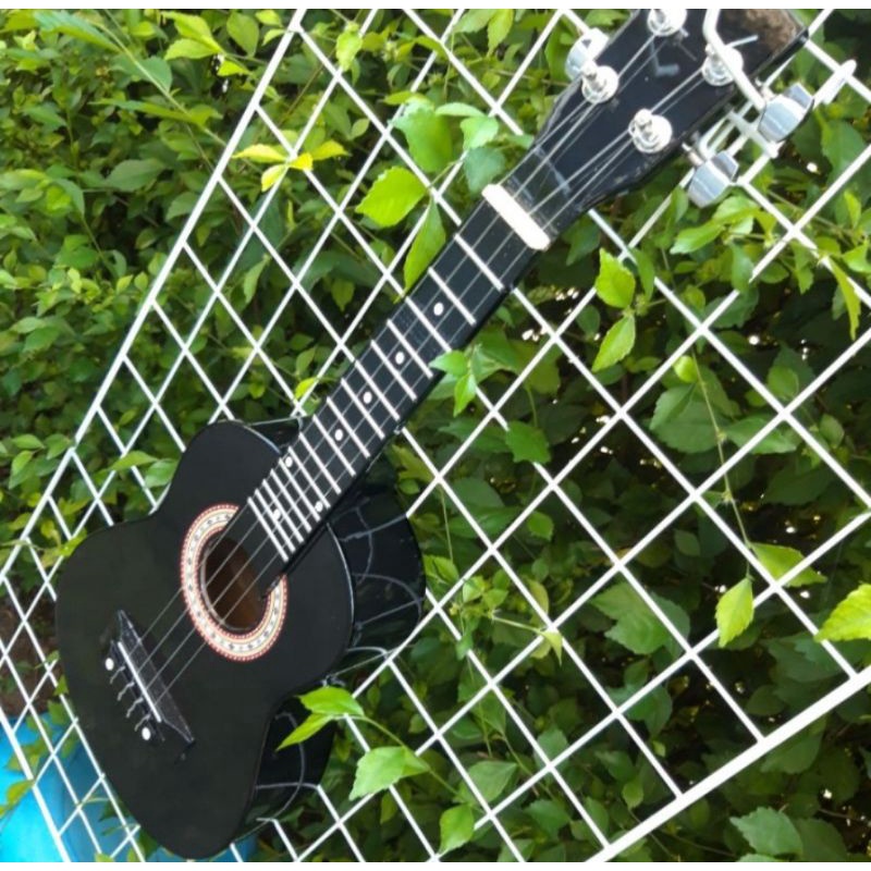GITAR AKUSTIK SENAR 6 // UKULELE SENAR 4 / KENTRUNG DRYER CHROME / GARANSI PENGIRIMAN / COD