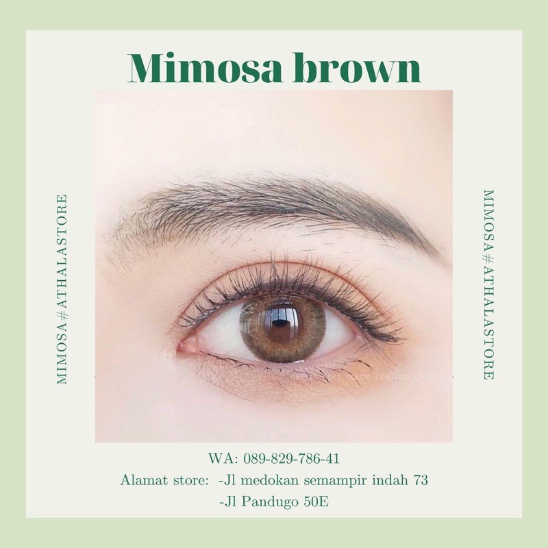 SOFTLENS MIMOSA