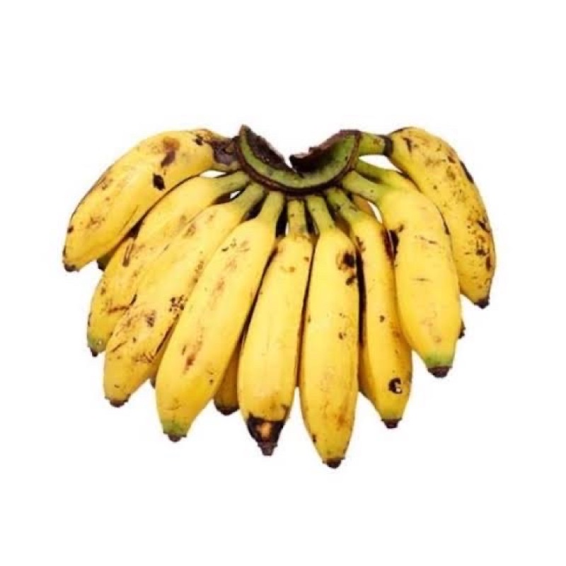 

Pisang uli / pisang uli persisir